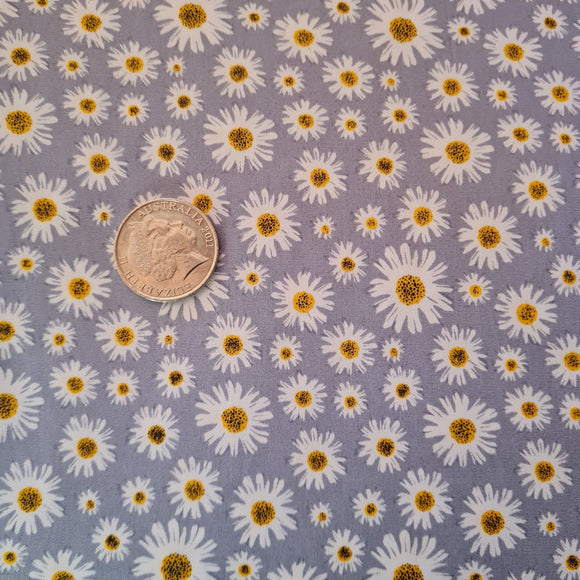 Daisys On Purple Quilting Cotton