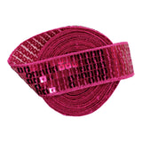 25mm Sequin Trim 4.5m - 12 Colours