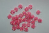 12mm Resin Flowers 30pk