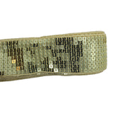 38mm Sequin Trim - 4.5m - 13 Colours